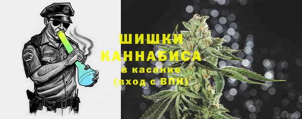 ПСИЛОЦИБИНОВЫЕ ГРИБЫ Алексеевка