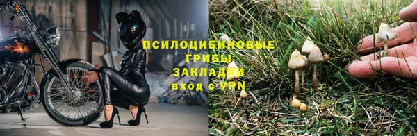 ПСИЛОЦИБИНОВЫЕ ГРИБЫ Алексеевка