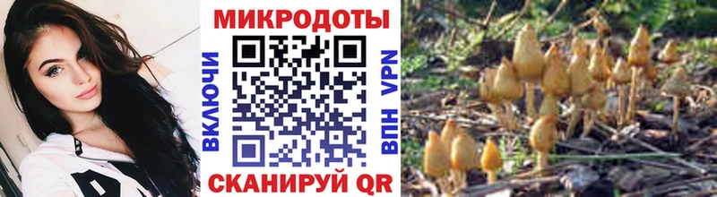 Псилоцибиновые грибы Psilocybe  Новая Ляля 